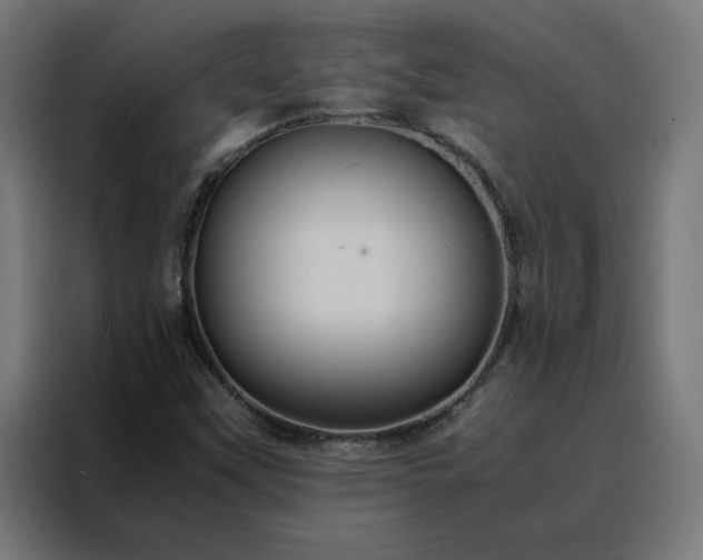 X0000088231451200705221814