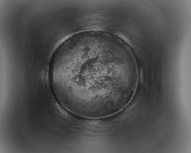 X0000088231452200705221814