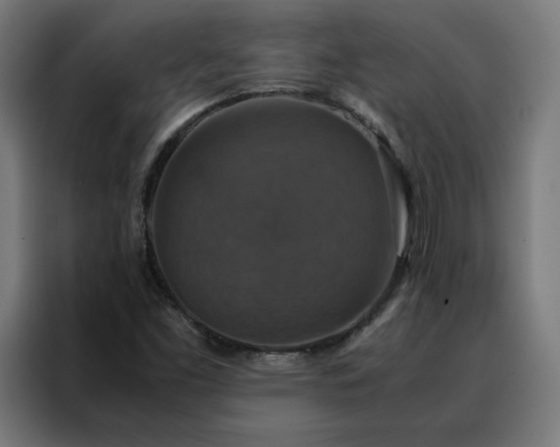X0000088231453200705221814