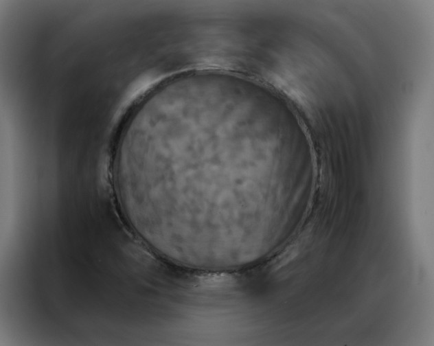 X0000088231454200705221814