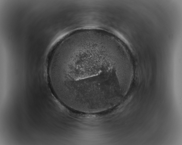 X0000088231456200705221814