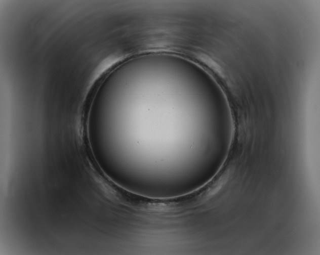 X0000088231458200705221814
