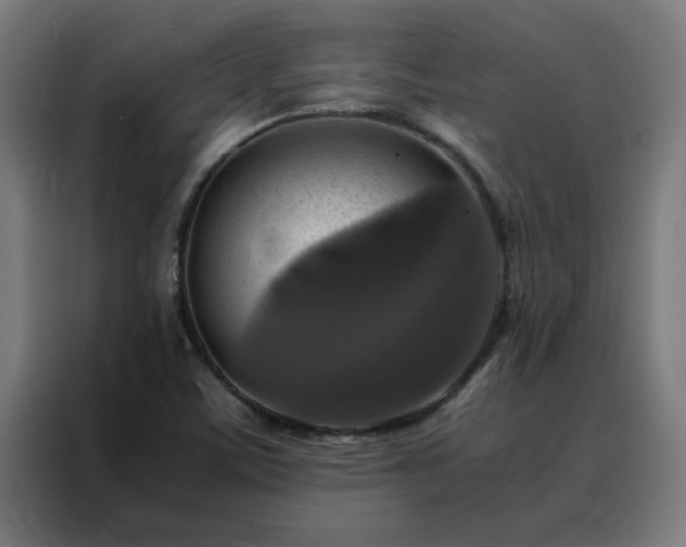 X0000088231459200705221814