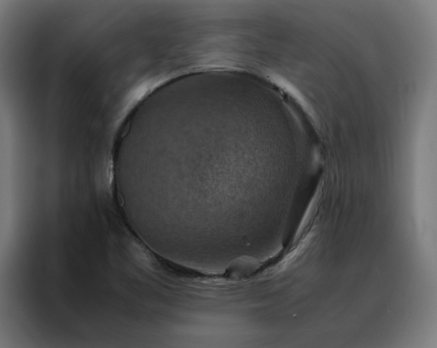 X0000088231461200705221814