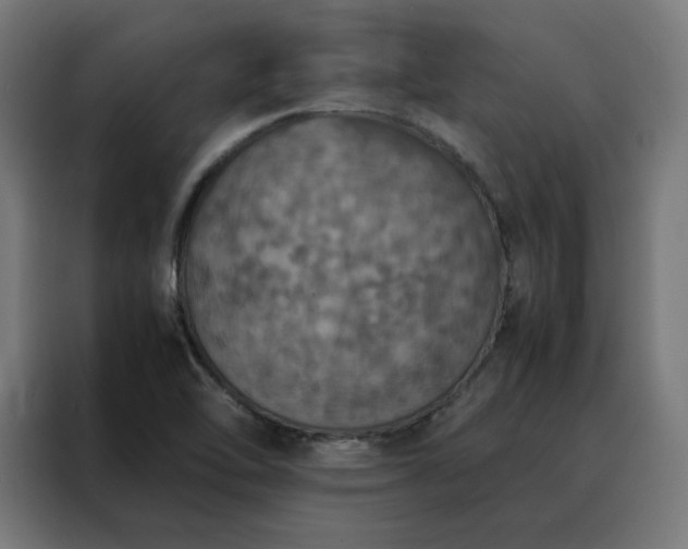 X0000088231462200705221814