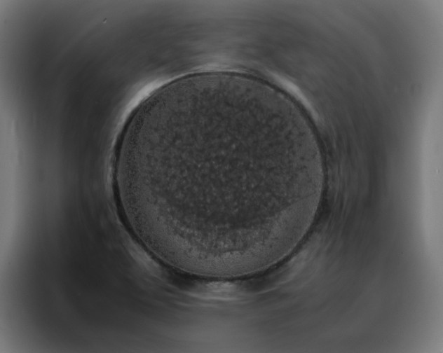 X0000088231463200705221814