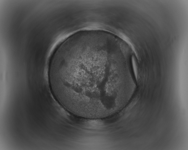 X0000088231464200705221814