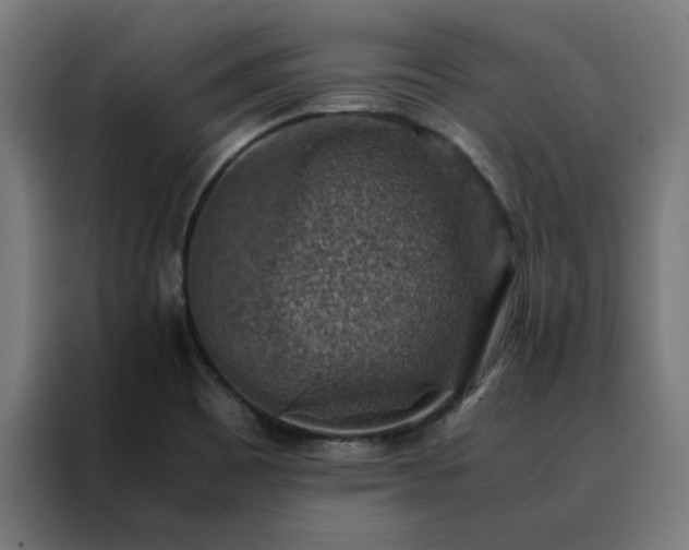 X0000088231465200705221814