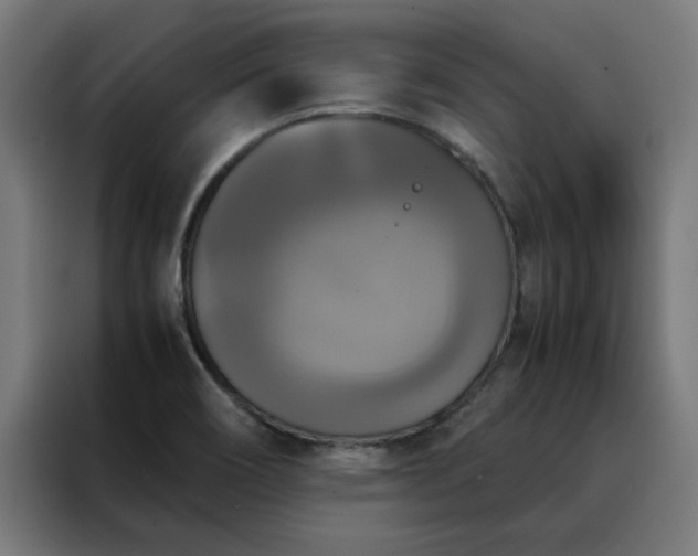 X0000088231466200705221814