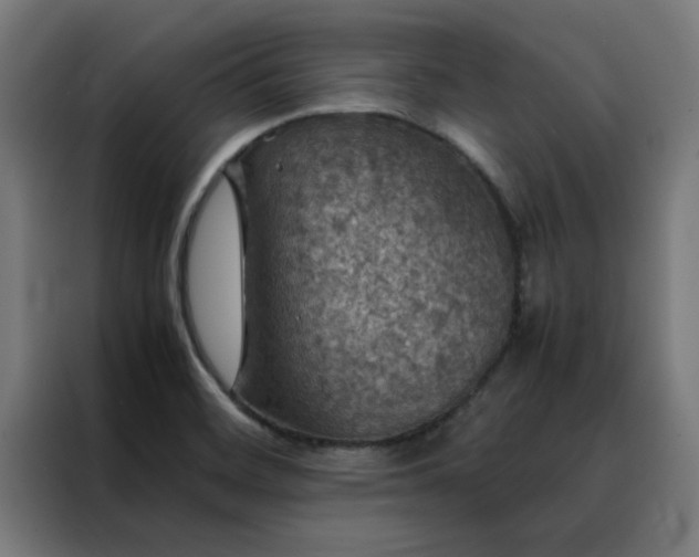 X0000088231468200705221814