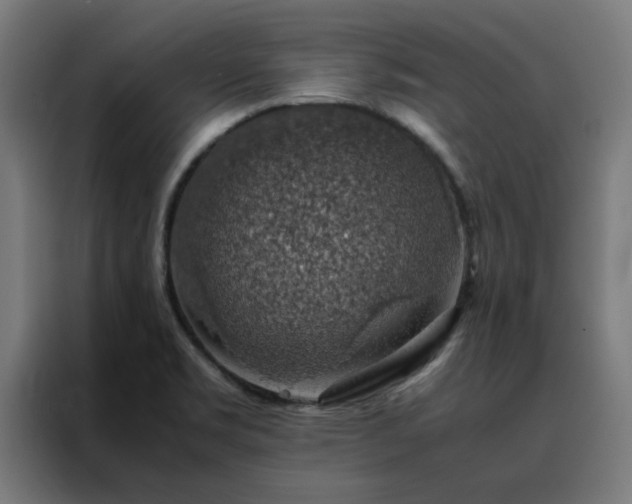 X0000088231469200705221814