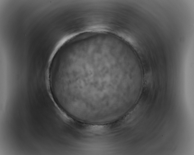 X0000088231470200705221814