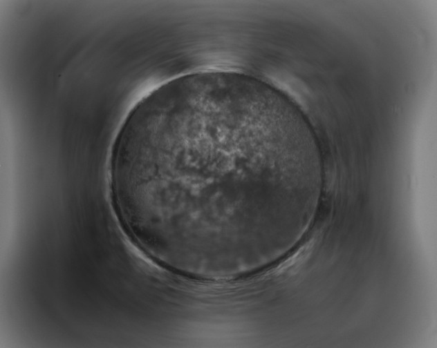 X0000088231471200705221814