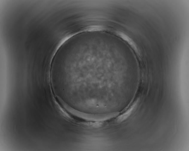 X0000088231473200705221814