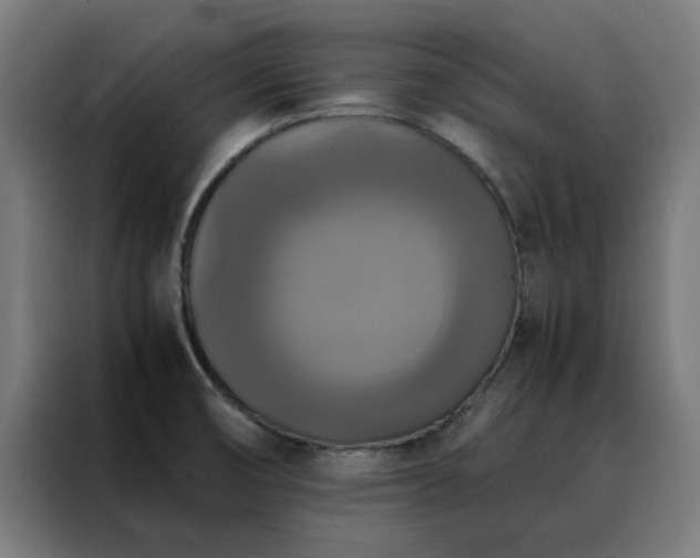 X0000088231474200705221814