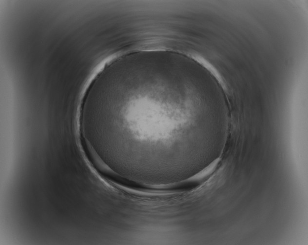 X0000088231477200705221814
