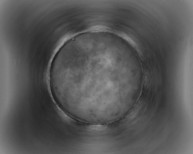X0000088231478200705221814