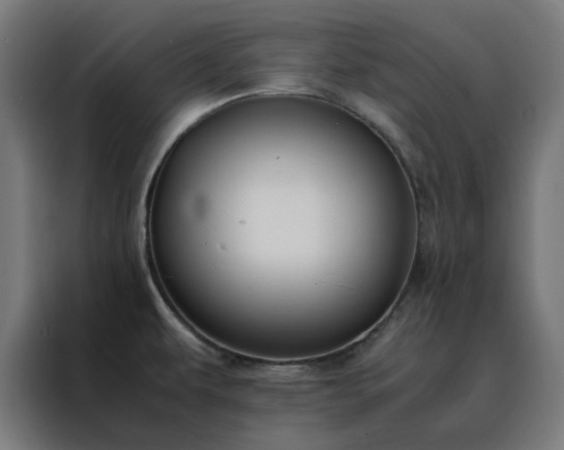 X0000088231479200705221814