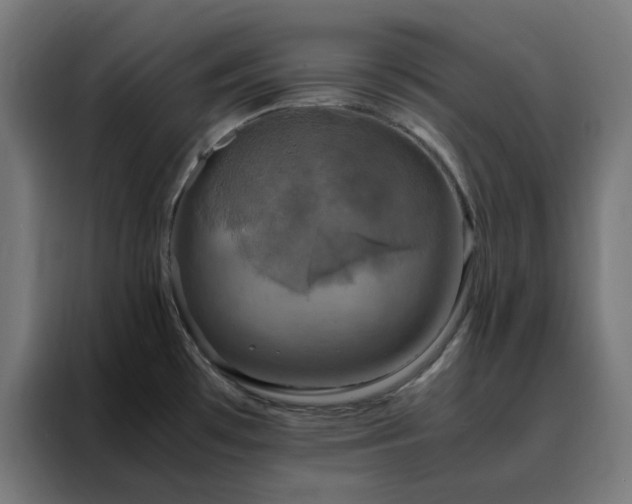 X0000088231481200705221814