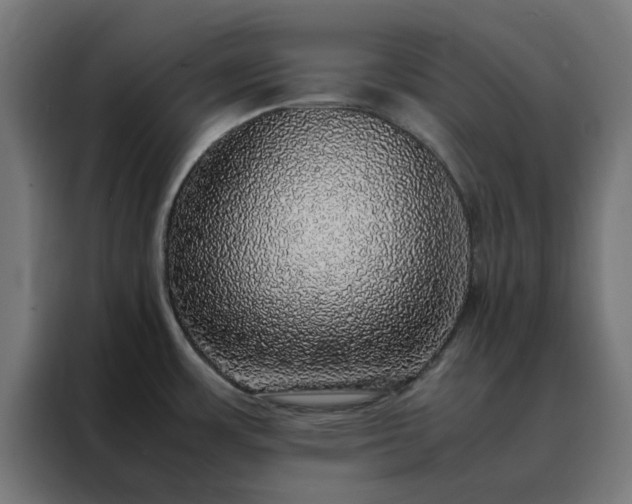X0000088231483200705221814