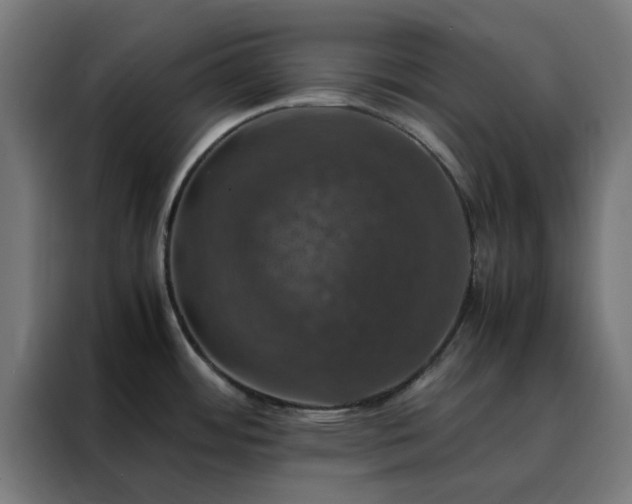X0000088231484200705221814