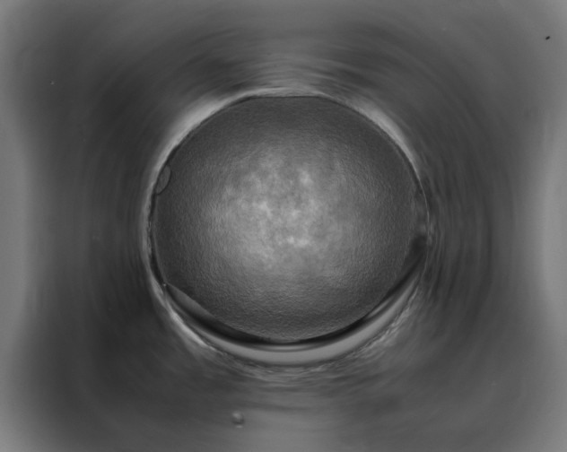 X0000088231485200705221814