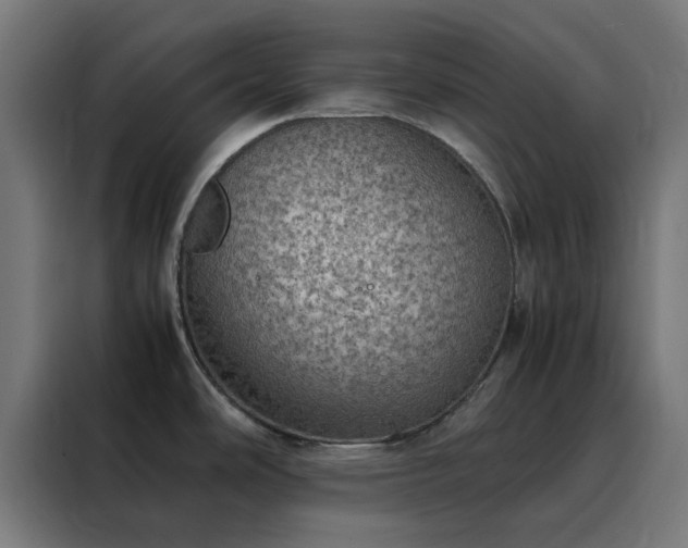 X0000088231486200705221814