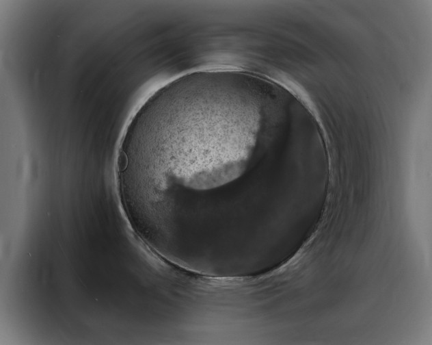 X0000088231488200705221814