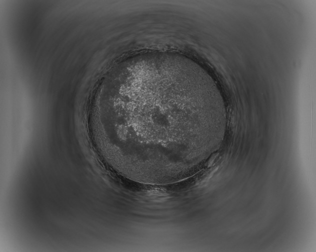 X0000088231489200705221813