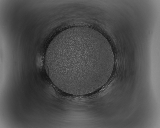 X0000088231490200705221813