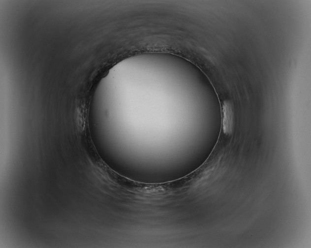 X0000088231491200705221813