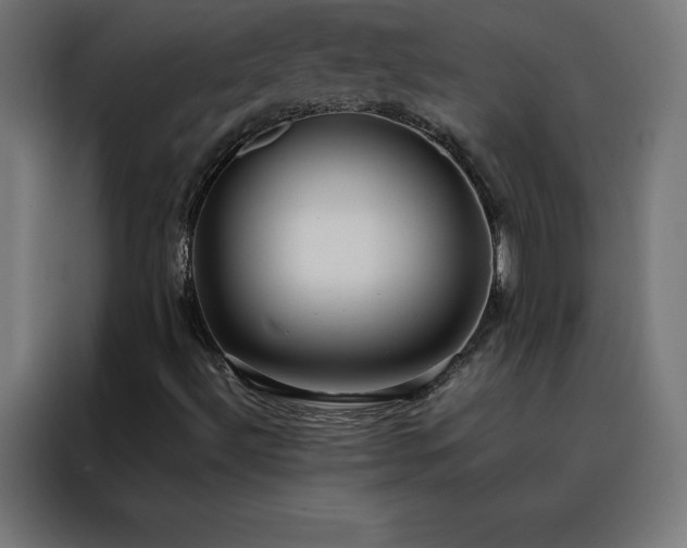 X0000088231492200705221813
