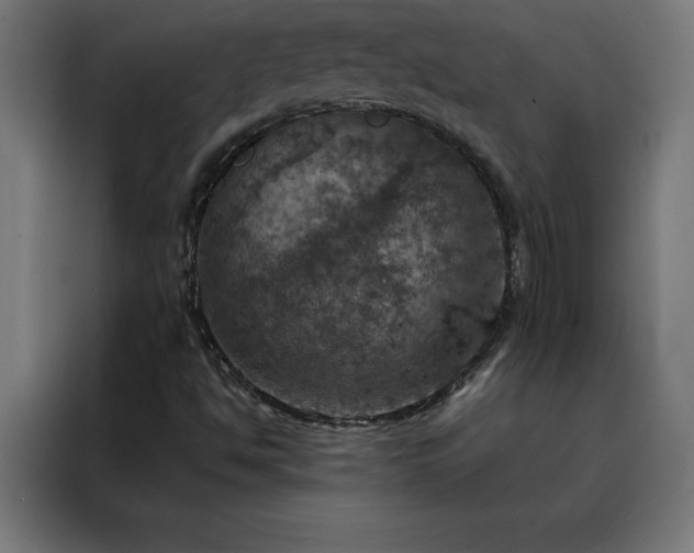 X0000088231494200705221813