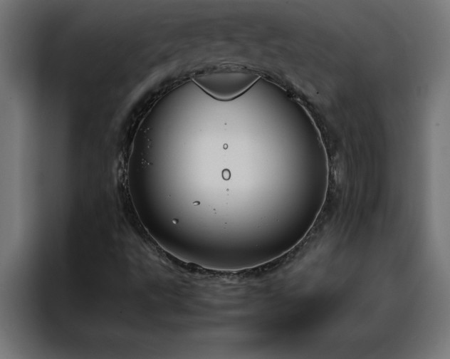 X0000088231495200705221813