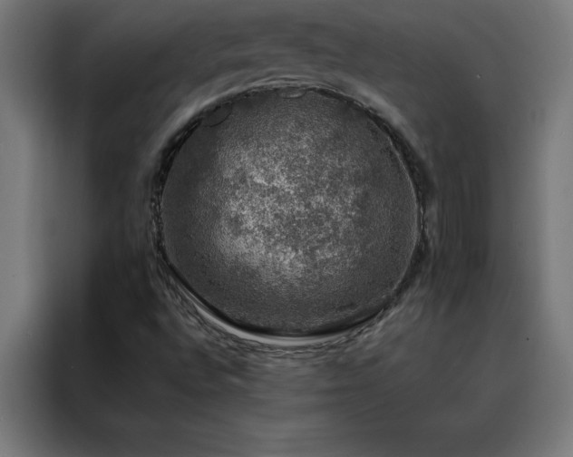 X0000088231496200705221813