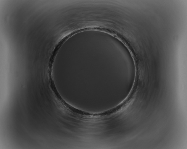 X0000088231497200705221813