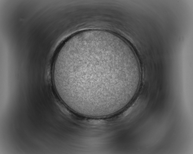 X0000088231498200705221813
