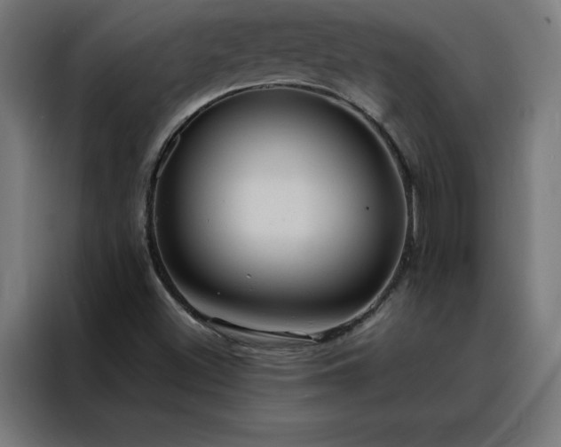 X0000088231500200705221814