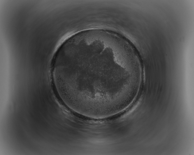 X0000088231501200705221814