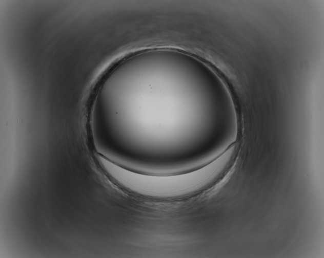 X0000088231502200705221814