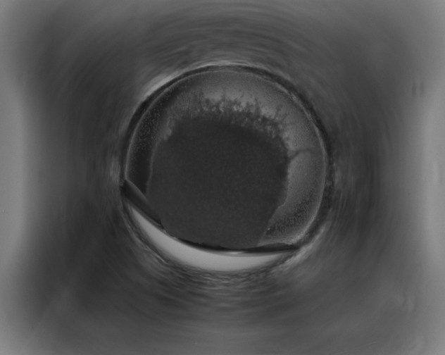 X0000088231505200705221814