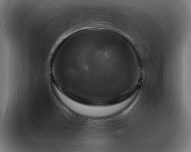 X0000088231506200705221814
