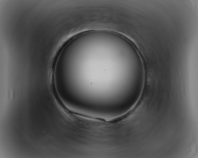 X0000088231507200705221814
