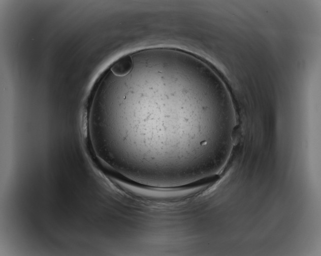 X0000088231510200705221814