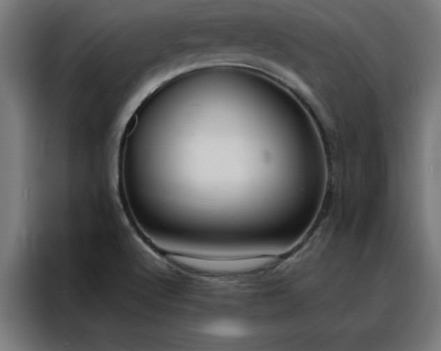 X0000088231512200705221814