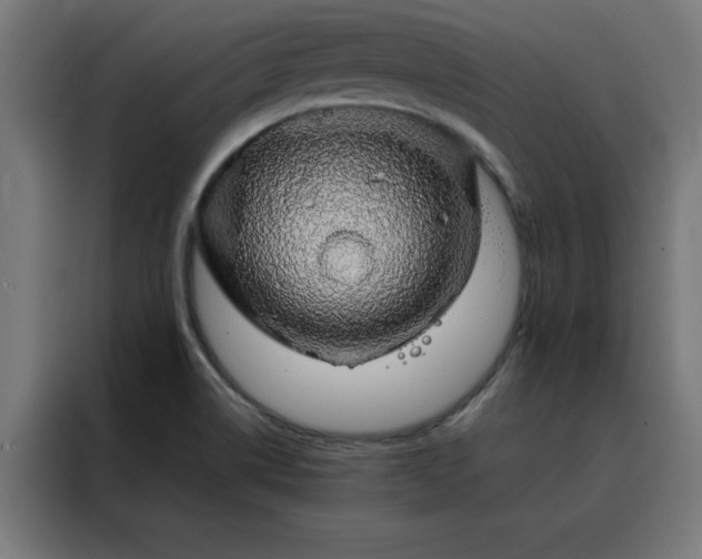 X0000088231514200705221814