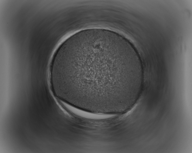 X0000088231517200705221814