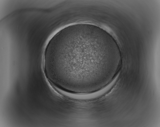X0000088231520200705221814