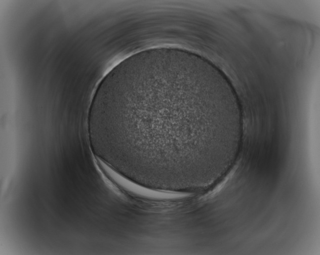 X0000088231521200705221814