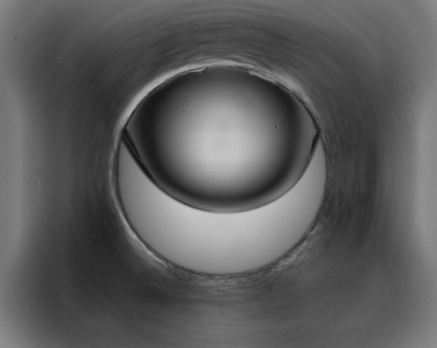 X0000088231524200705221814